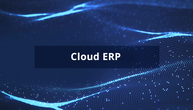 Maximize Cloud ERP Investment (1)