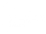 Supplychainsofdistinction Award Reverse Noyear 2